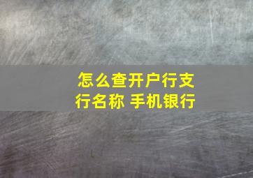 怎么查开户行支行名称 手机银行